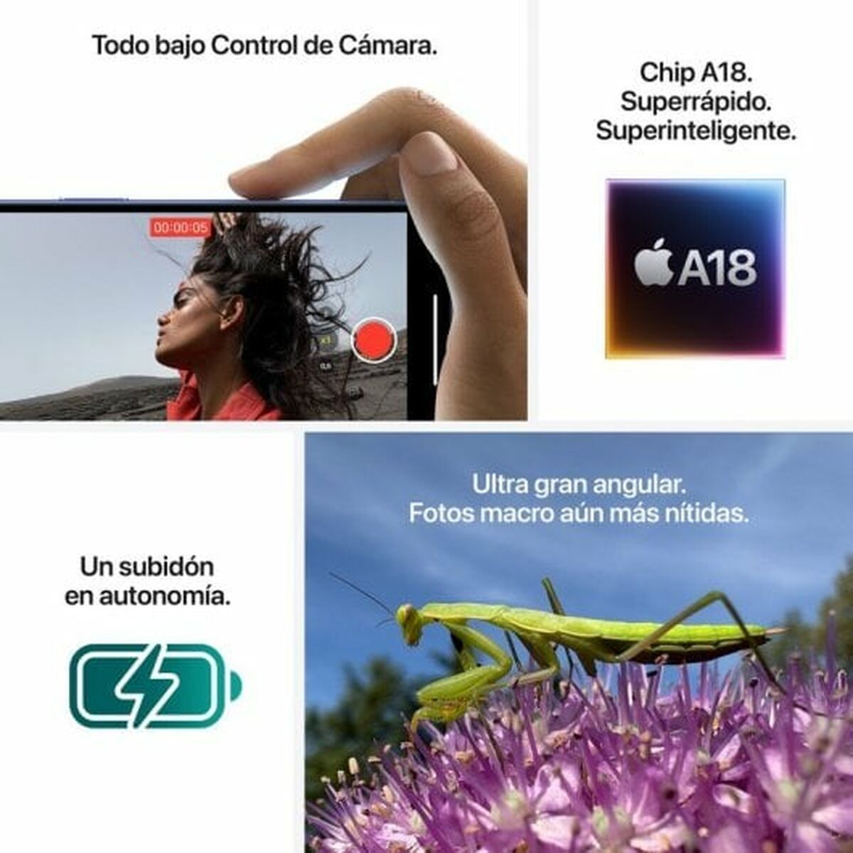 Smartphone Apple MXVU3QL/A Hexa Core 8 GB RAM 128 GB Sort 6,7"